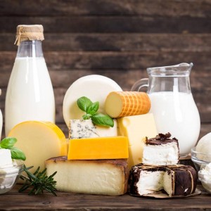 Milch, Joghurt & Käse